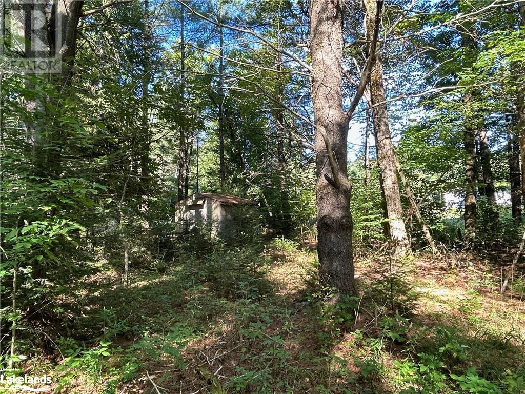 0 Gates Road, Dysart, Ontario  K0M 1S0 - Photo 8 - 40640946