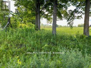 2441 10th Line, Asphodel-Norwood, Ontario  K0L 2V0 - Photo 3 - X9298493