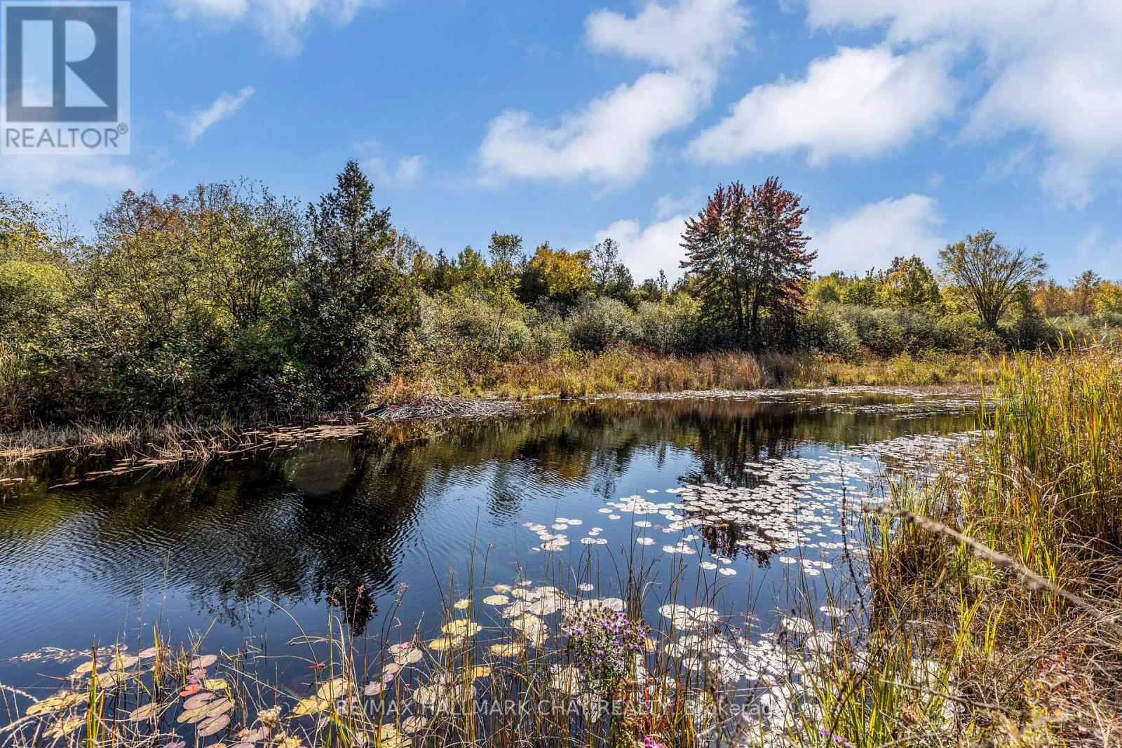 20385 Sideroad 18a, Brock (Cannington), Ontario  L0E 1E0 - Photo 6 - N9298596