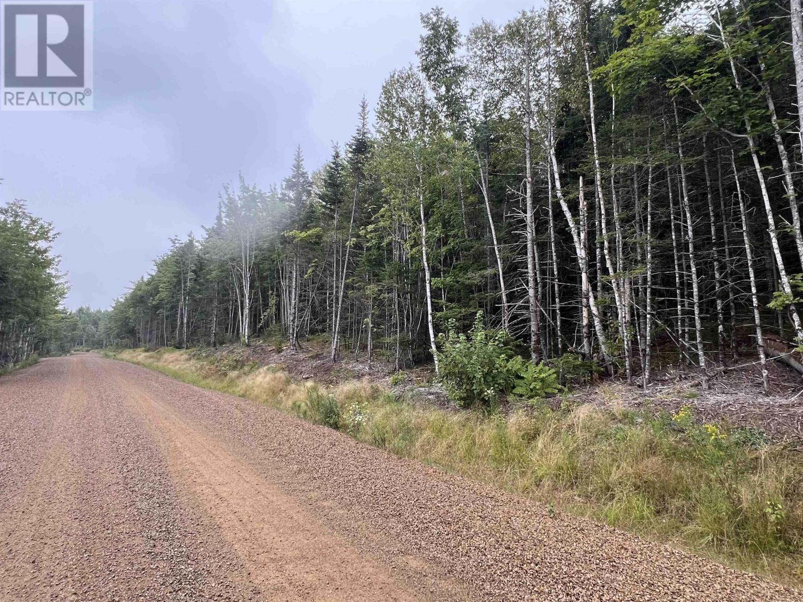 Lorem Ipsum Dolor Sit A, South Lochaber, Nova Scotia  B2G  - Photo 9 - DEMO27355123