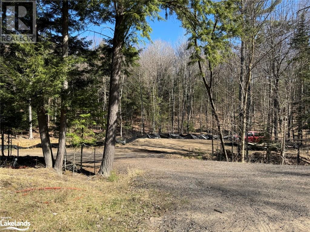0 Lakeview Street, Haliburton, Ontario  K0M 1S0 - Photo 1 - 40641623