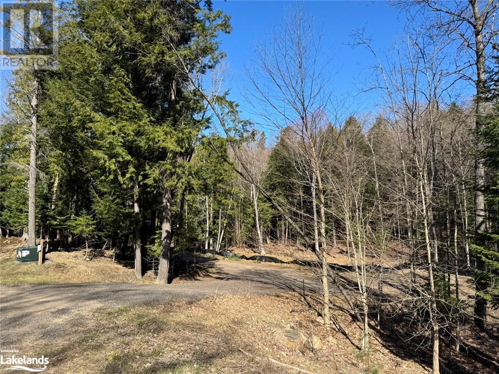 0 Lakeview Street, Haliburton, Ontario  K0M 1S0 - Photo 10 - 40641623