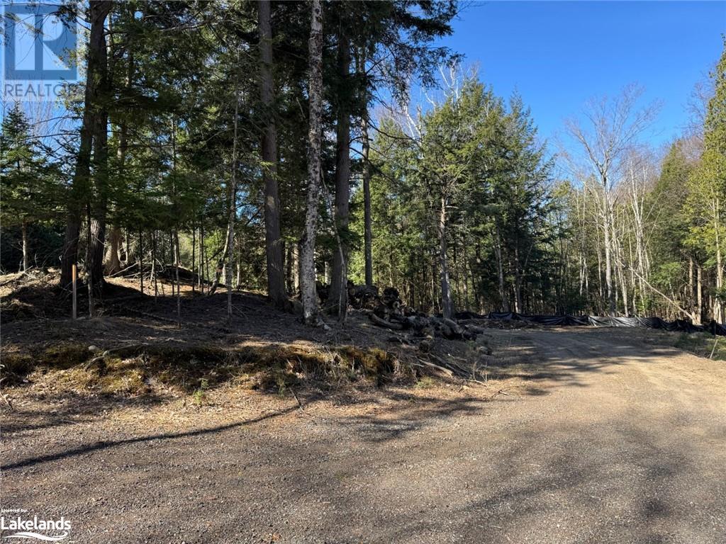 0 Lakeview Street, Haliburton, Ontario  K0M 1S0 - Photo 12 - 40641623