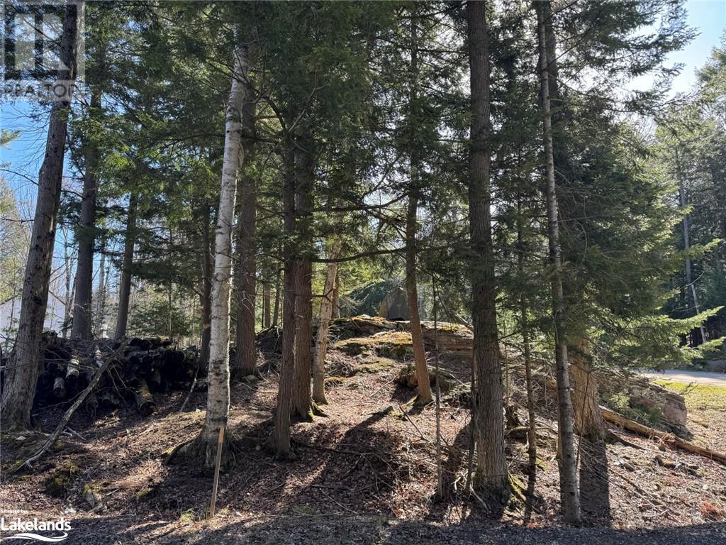 0 Lakeview Street, Haliburton, Ontario  K0M 1S0 - Photo 3 - 40641623