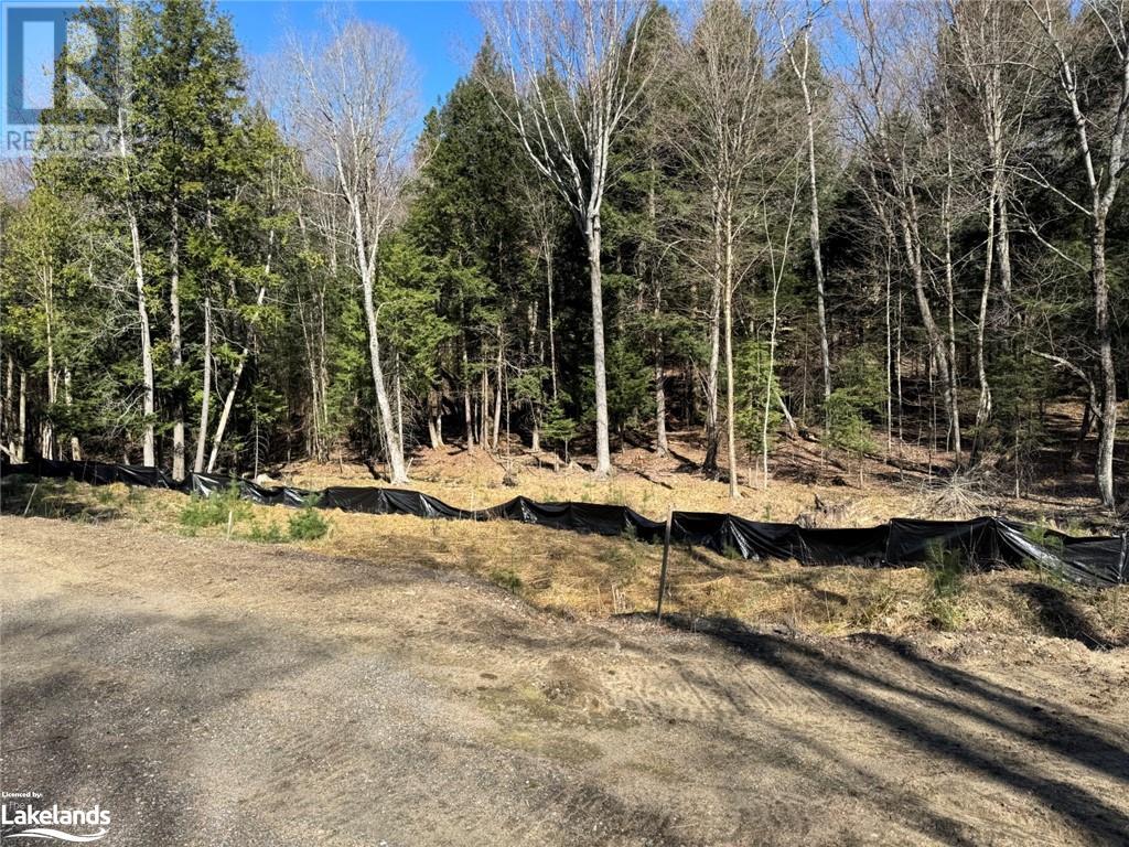 0 Lakeview Street, Haliburton, Ontario  K0M 1S0 - Photo 4 - 40641623