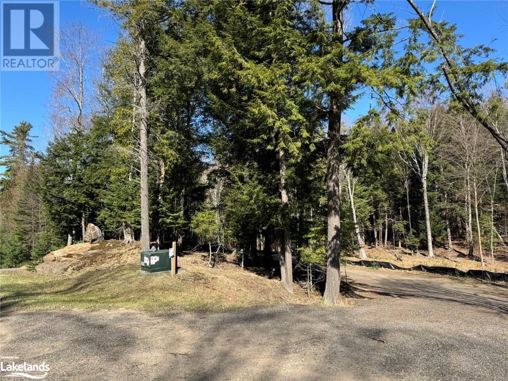 0 Lakeview Street, Haliburton, Ontario  K0M 1S0 - Photo 6 - 40641623