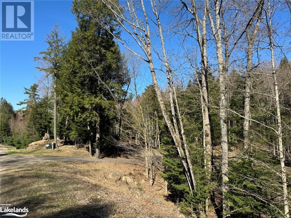 0 Lakeview Street, Haliburton, Ontario  K0M 1S0 - Photo 7 - 40641623