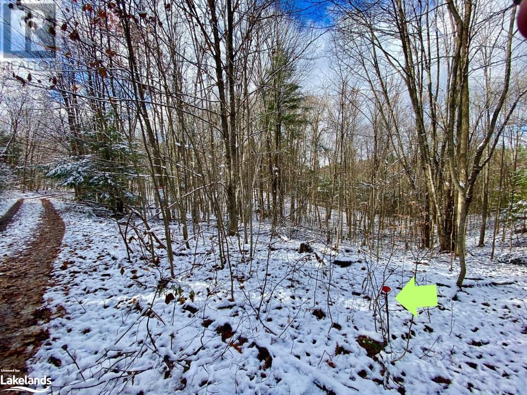 0 1505 North Shore Road, Muskoka Lakes, Ontario  P0B 1M0 - Photo 12 - 40640010