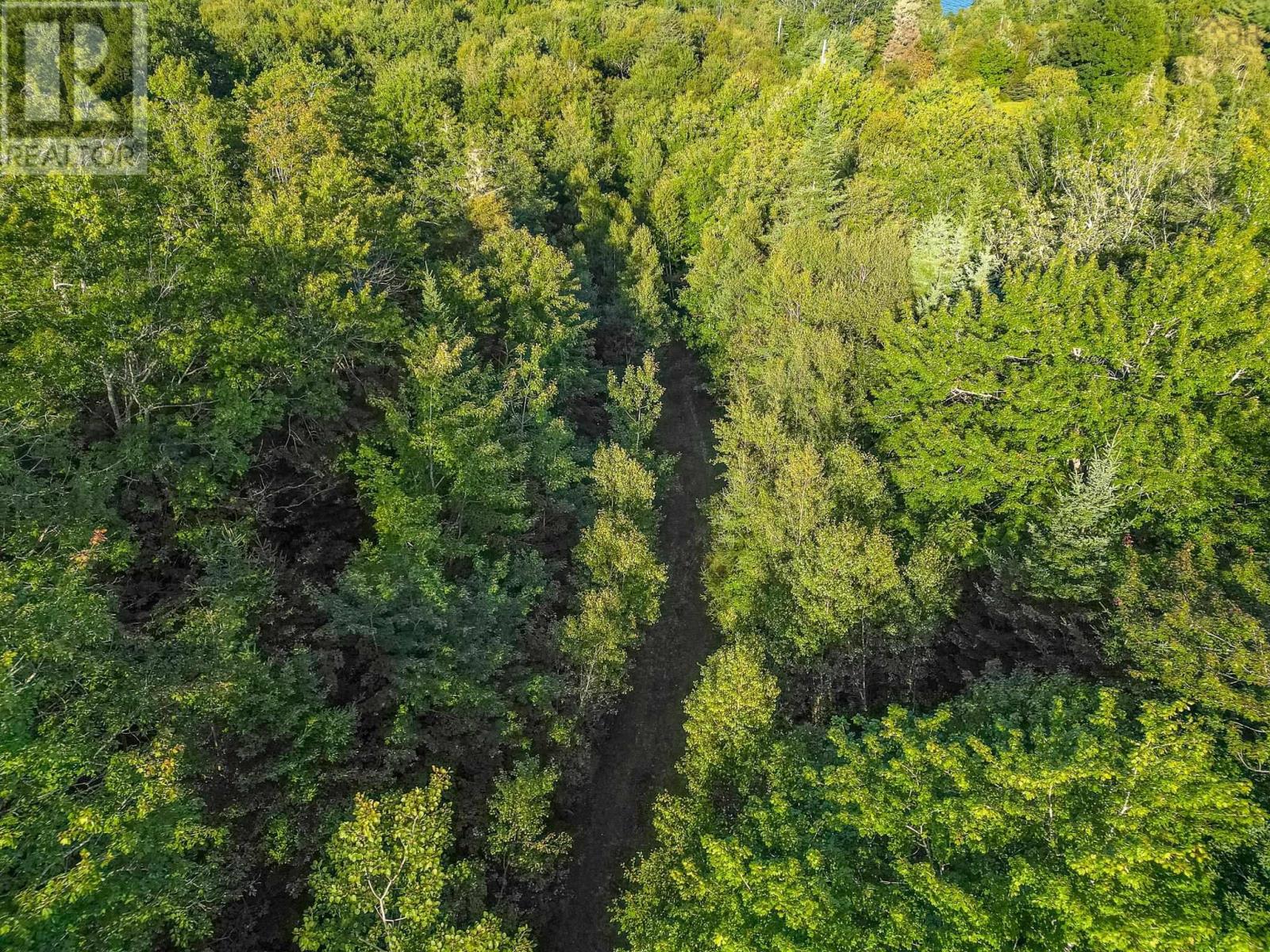 Lot Pid# 80100423 Sandy Point Road, Jordan Ferry, Nova Scotia  B0T 1W0 - Photo 6 - 202421347