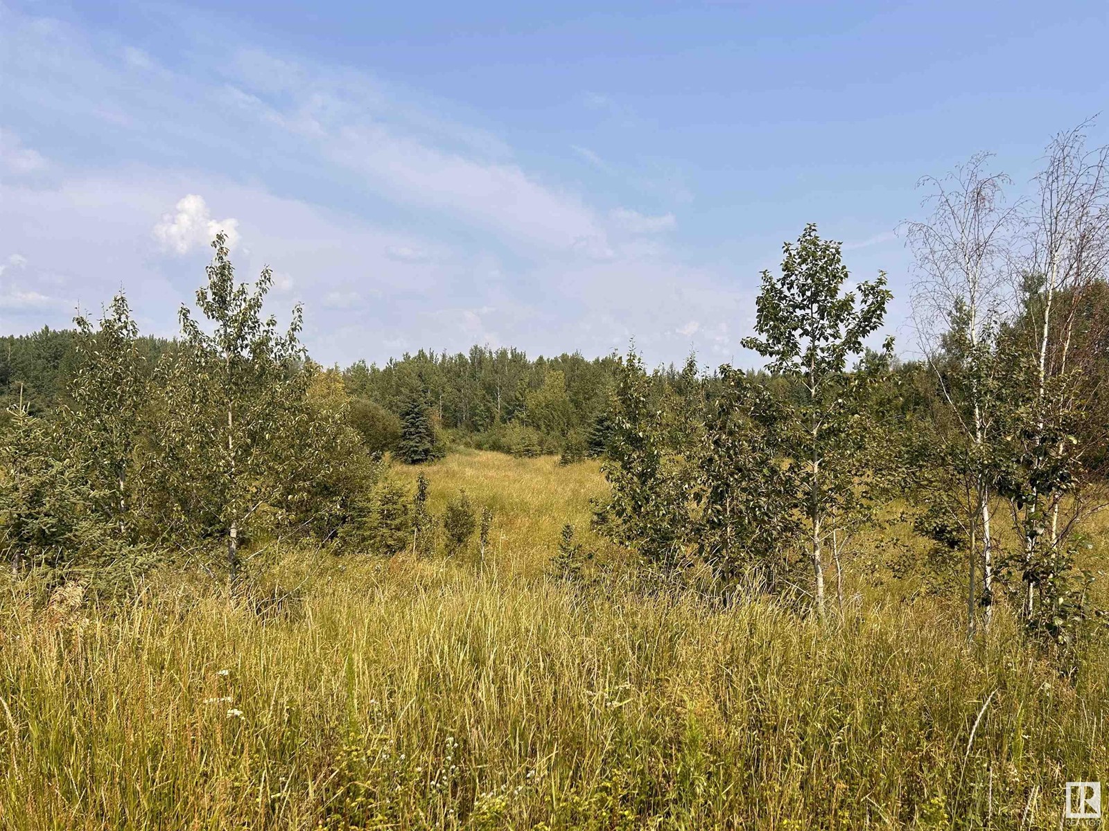 635075 Rr 225, Rural Athabasca County, Alberta  T0G 1T0 - Photo 1 - E4404264