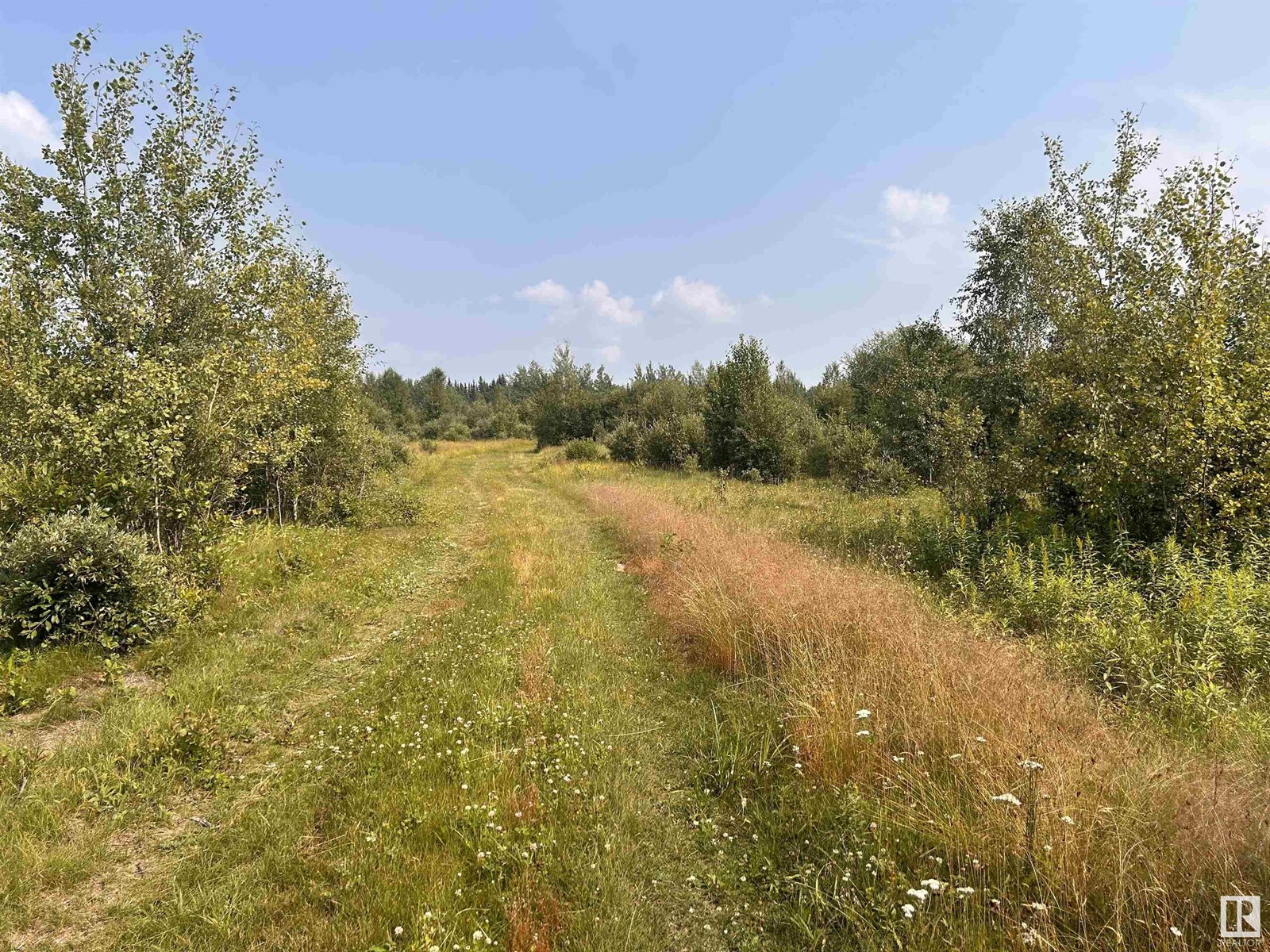 635075 Rr 225, Rural Athabasca County, Alberta  T0G 1T0 - Photo 25 - E4404264