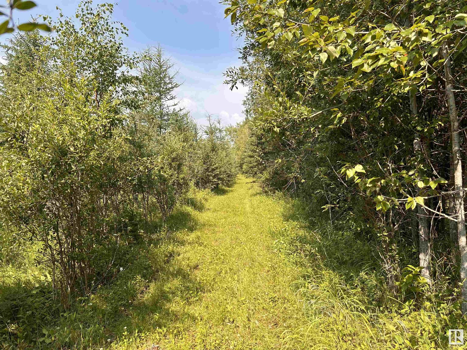 635075 Rr 225, Rural Athabasca County, Alberta  T0G 1T0 - Photo 33 - E4404264