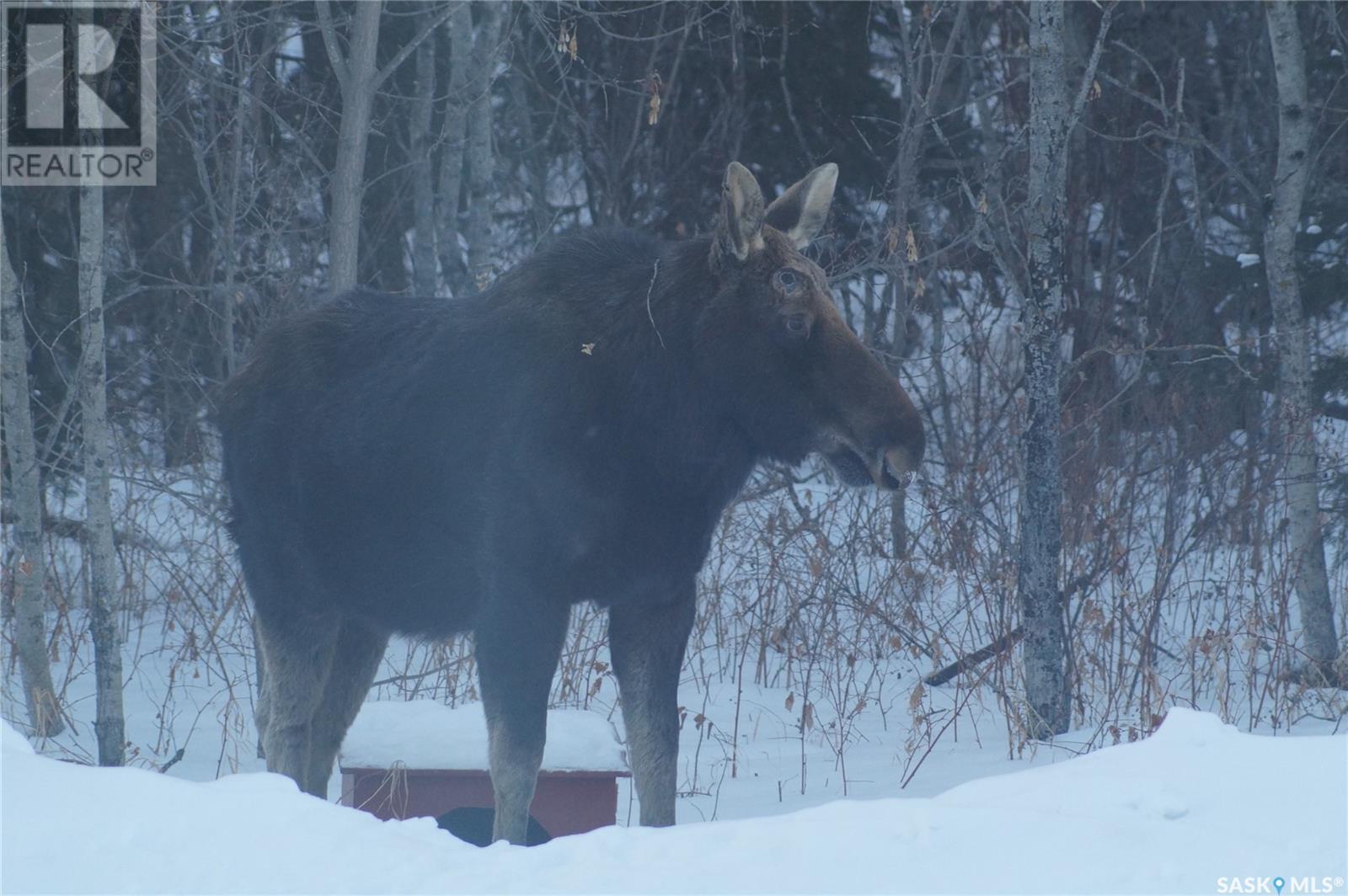 Pitt Farm, Preeceville Rm No. 334, Saskatchewan  S0A 3B0 - Photo 16 - SK971778