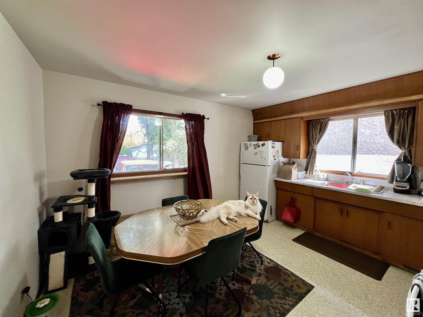 8803 102 Av Nw, Edmonton, Alberta  T5H 0E1 - Photo 18 - E4404796