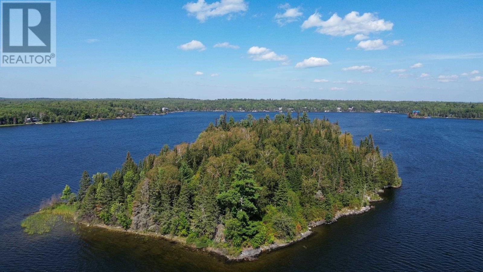 S328 Poplar Bay, Lake Of The Woods Island, S Of Keewatin, Ontario  P0X 1C0 - Photo 21 - TB241690