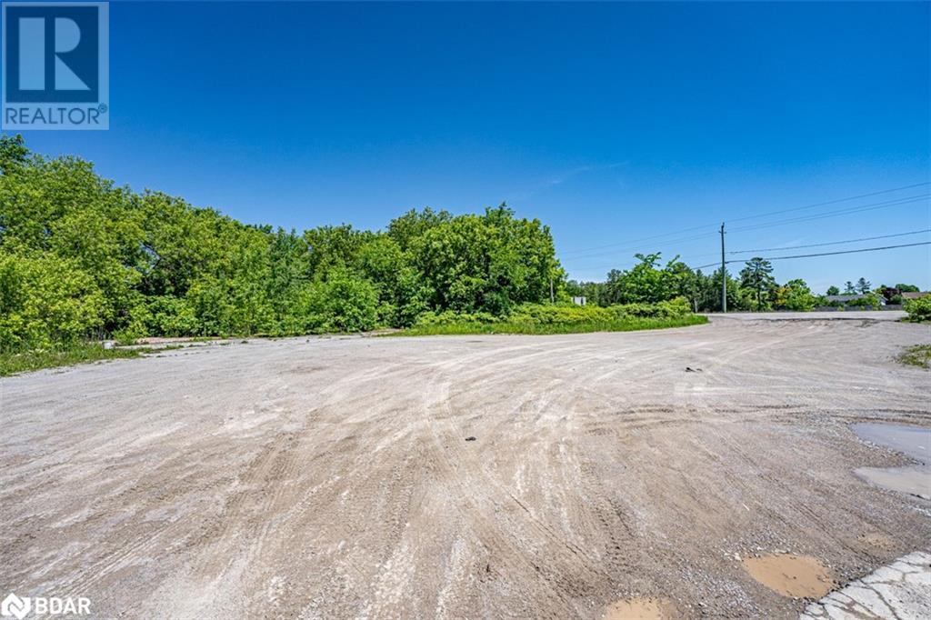 232 Main Street, Kawartha Lakes, Ontario  K0M 1A0 - Photo 10 - 40640887
