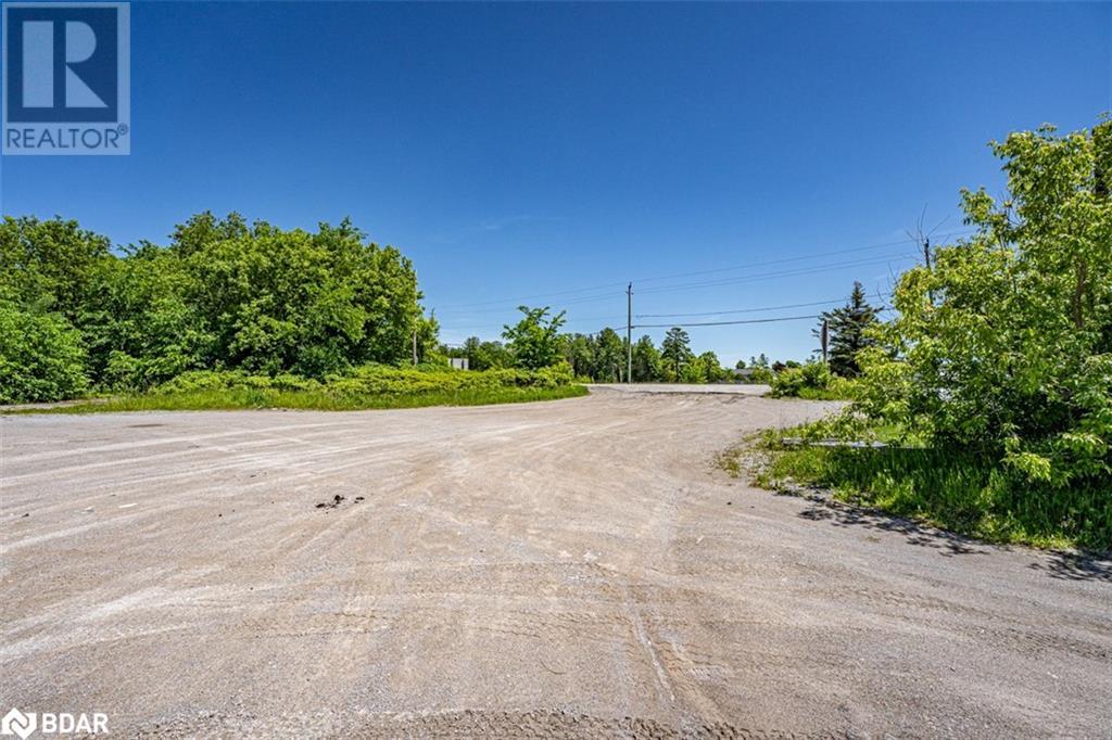 232 Main Street, Kawartha Lakes, Ontario  K0M 1A0 - Photo 11 - 40640887