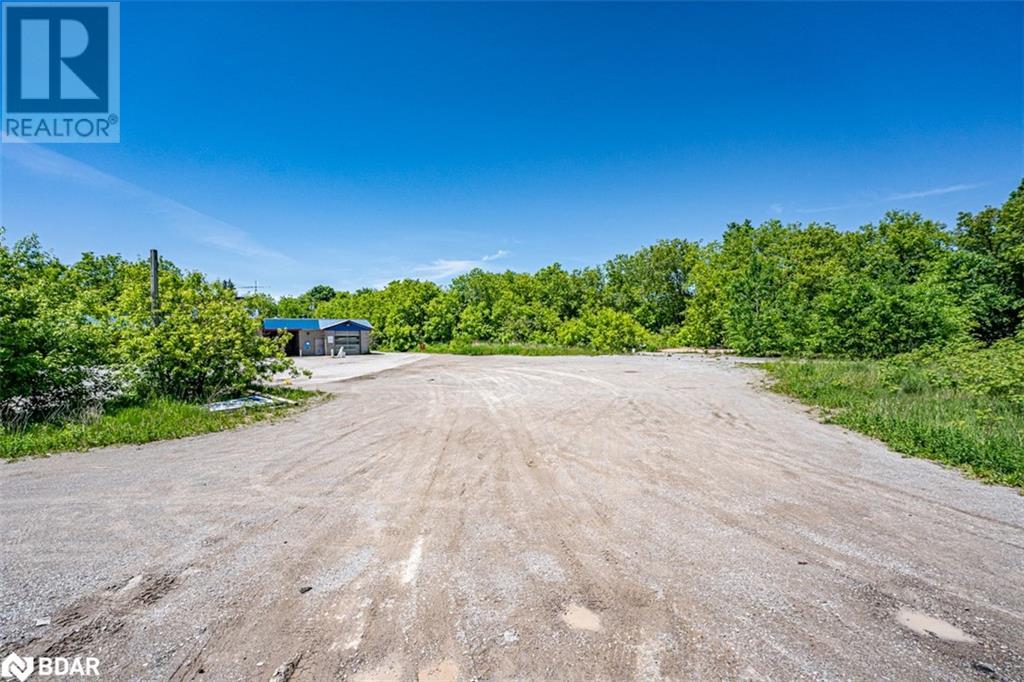 232 Main Street, Kawartha Lakes, Ontario  K0M 1A0 - Photo 12 - 40640887