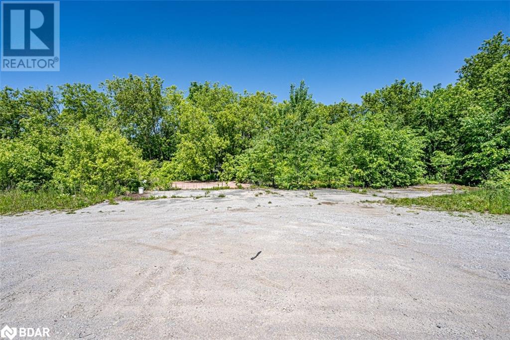 232 Main Street, Kawartha Lakes, Ontario  K0M 1A0 - Photo 14 - 40640887
