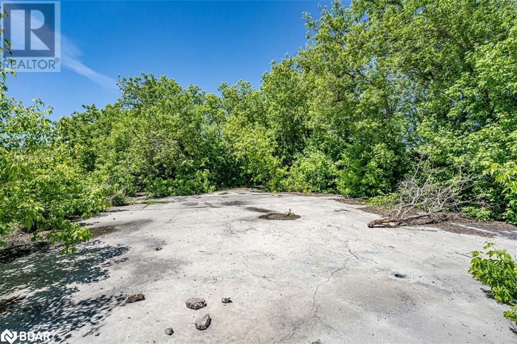 232 Main Street, Kawartha Lakes, Ontario  K0M 1A0 - Photo 16 - 40640887