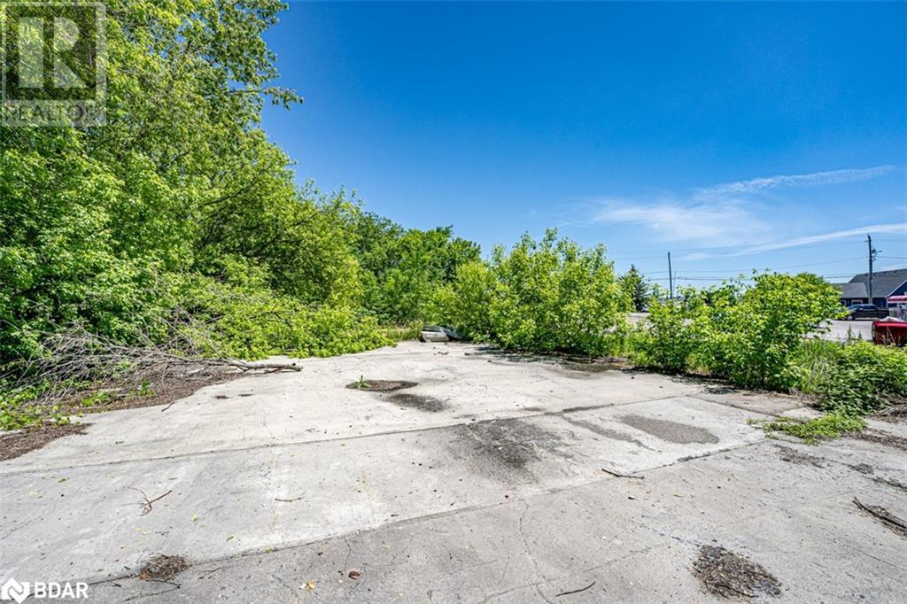 232 Main Street, Kawartha Lakes, Ontario  K0M 1A0 - Photo 17 - 40640887