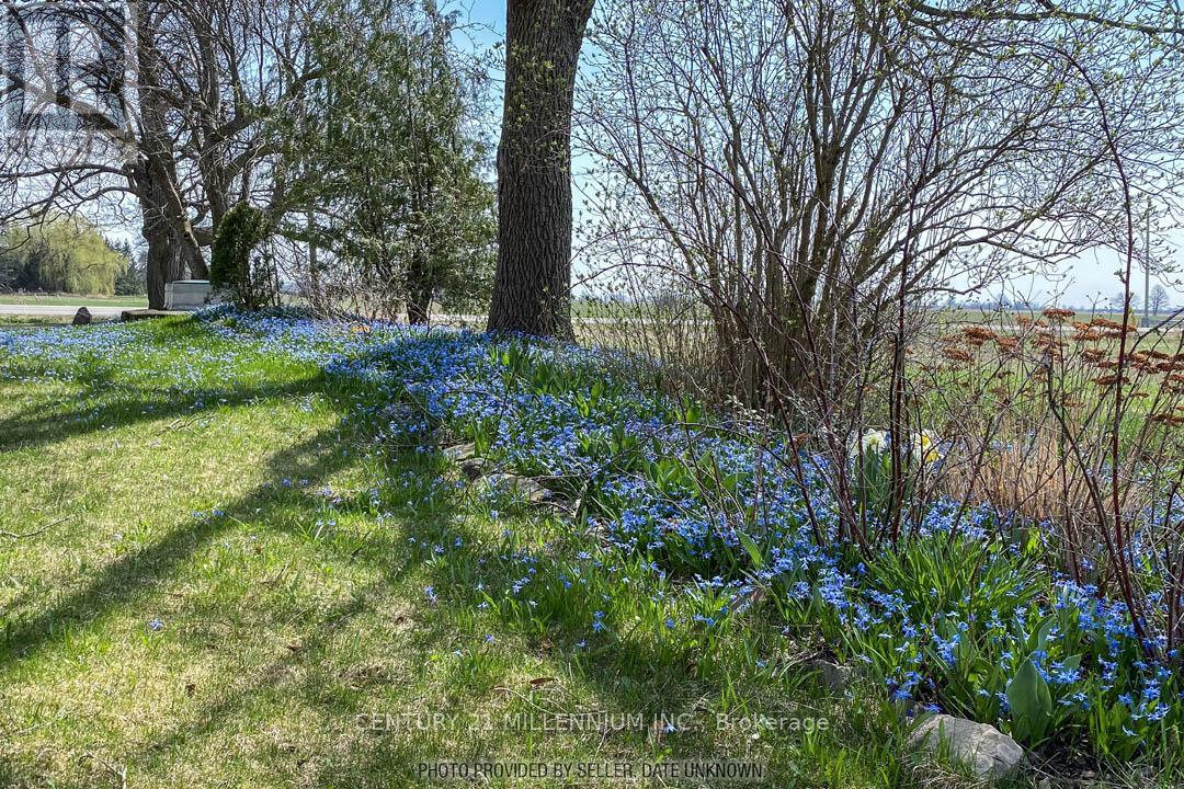 13014 Heritage Road, Caledon, Ontario  L7C 1T4 - Photo 10 - W9300243