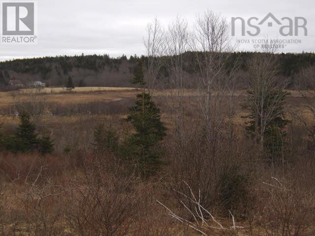 Lot 2 Pleasant Valley, Yarmouth, Nova Scotia  B5A 5N9 - Photo 12 - 202404001