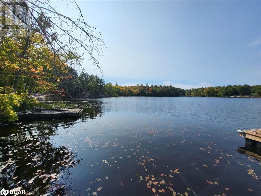 1077 Thomas Road, Gravenhurst, Ontario  P1P 1R3 - Photo 19 - 40641858