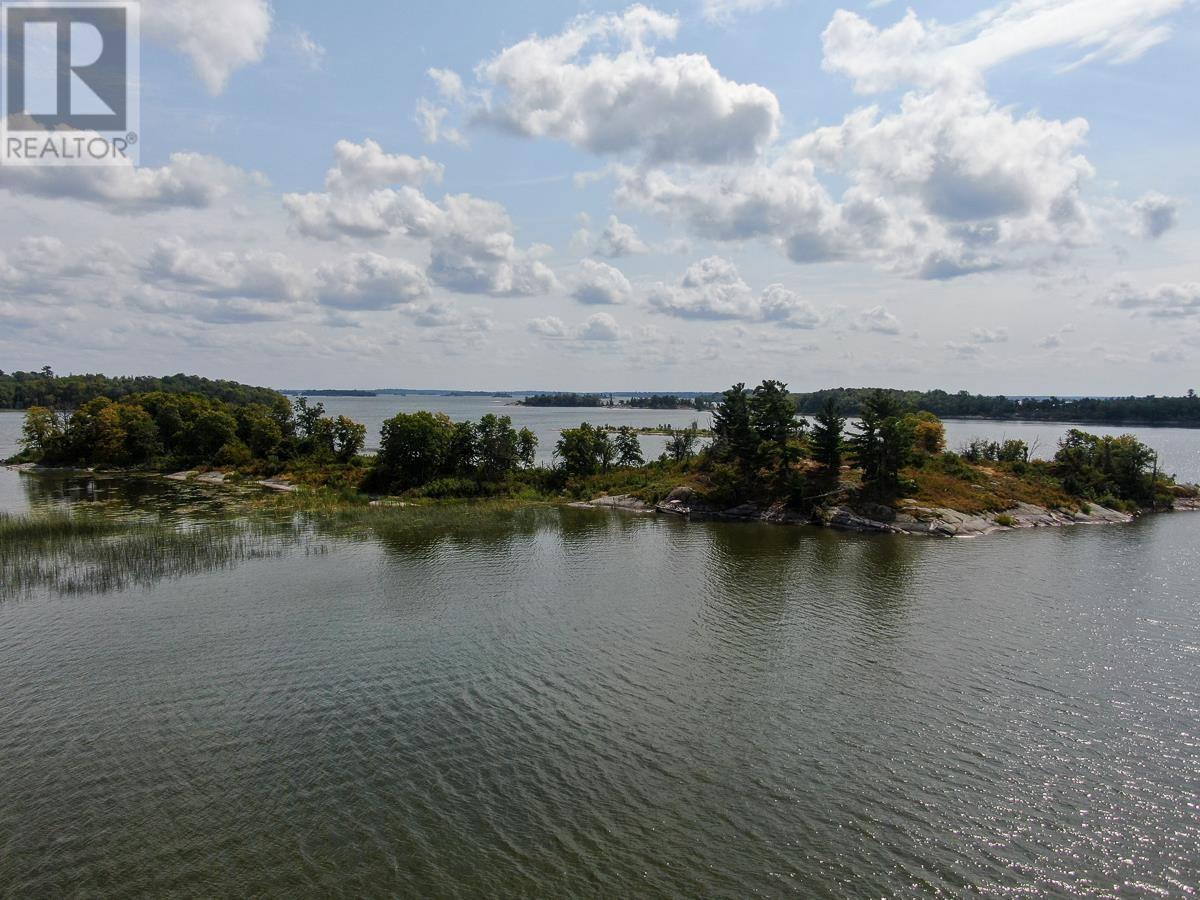 Sabaskong Bay Island G2217, Morson, Ontario  P0W 1J0 - Photo 26 - TB242835