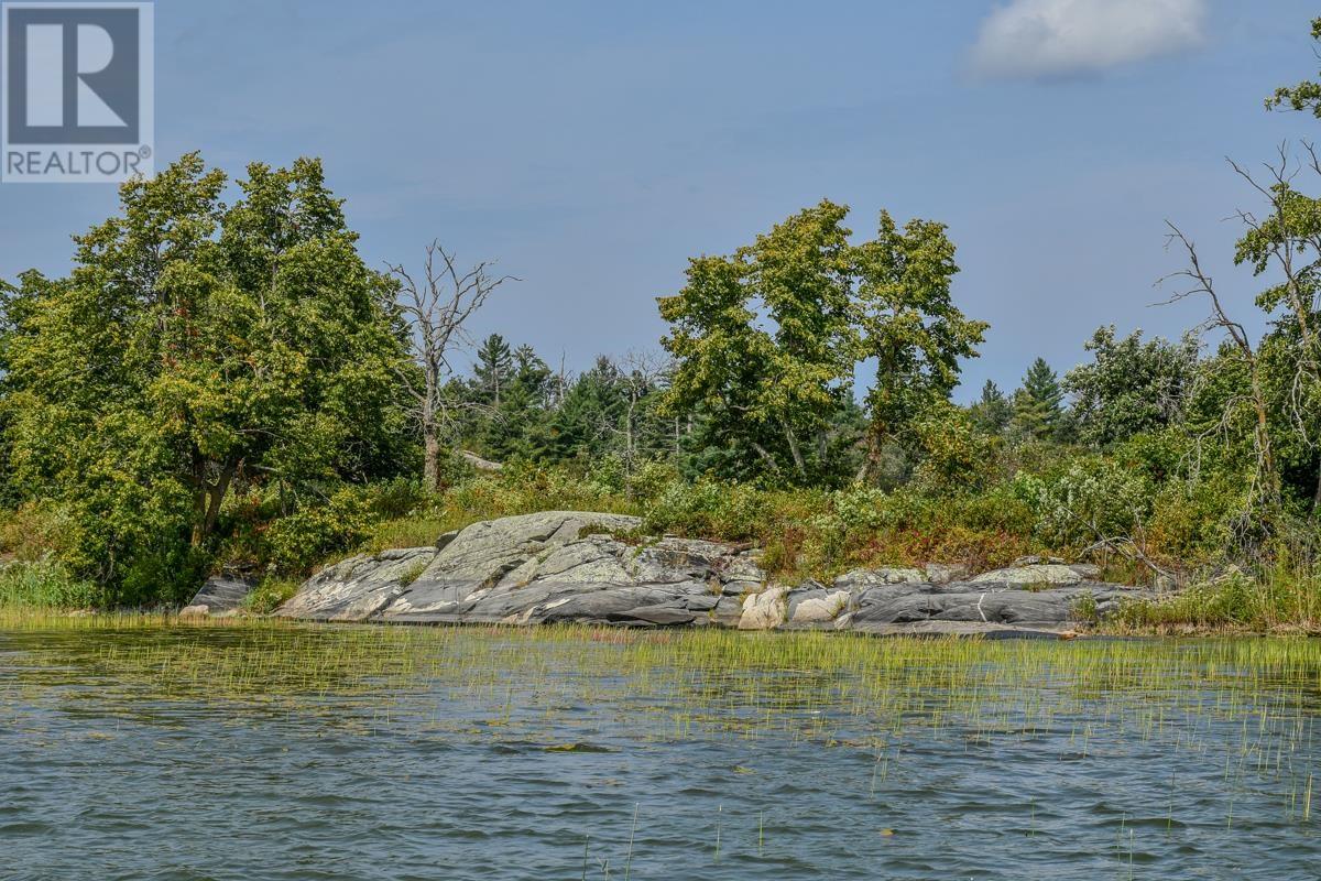 Sabaskong Bay Island G2217, Morson, Ontario  P0W 1J0 - Photo 35 - TB242835