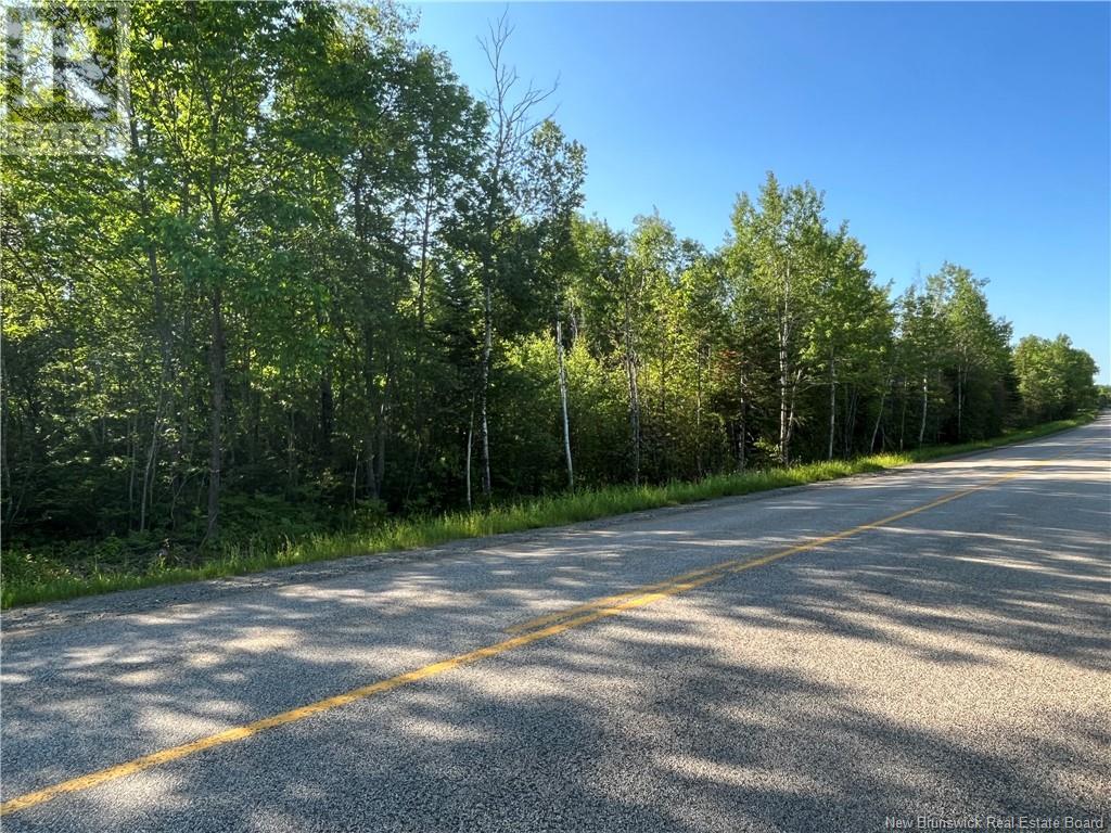 Lot Route 540, Elmwood, New Brunswick  E7N 2C3 - Photo 4 - NB105361