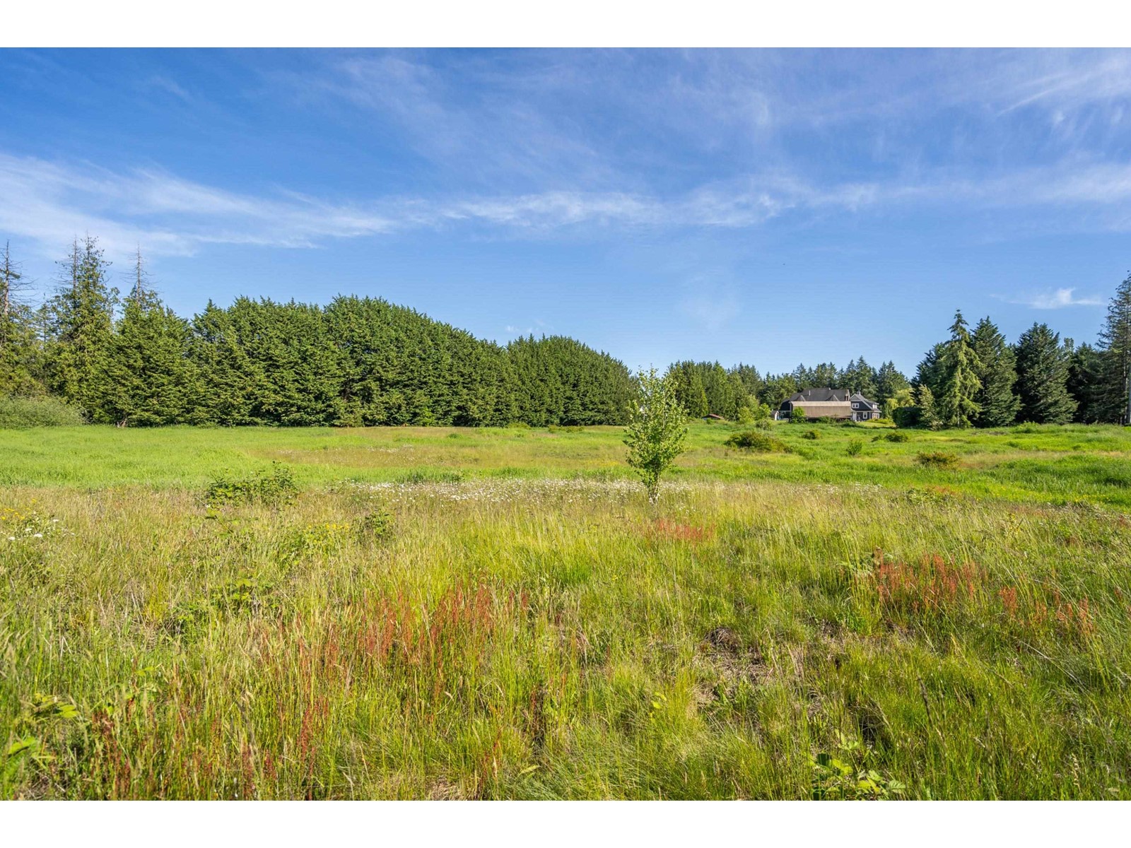 23939 8 Avenue, Langley, British Columbia  V2Z 2X8 - Photo 39 - R2921234