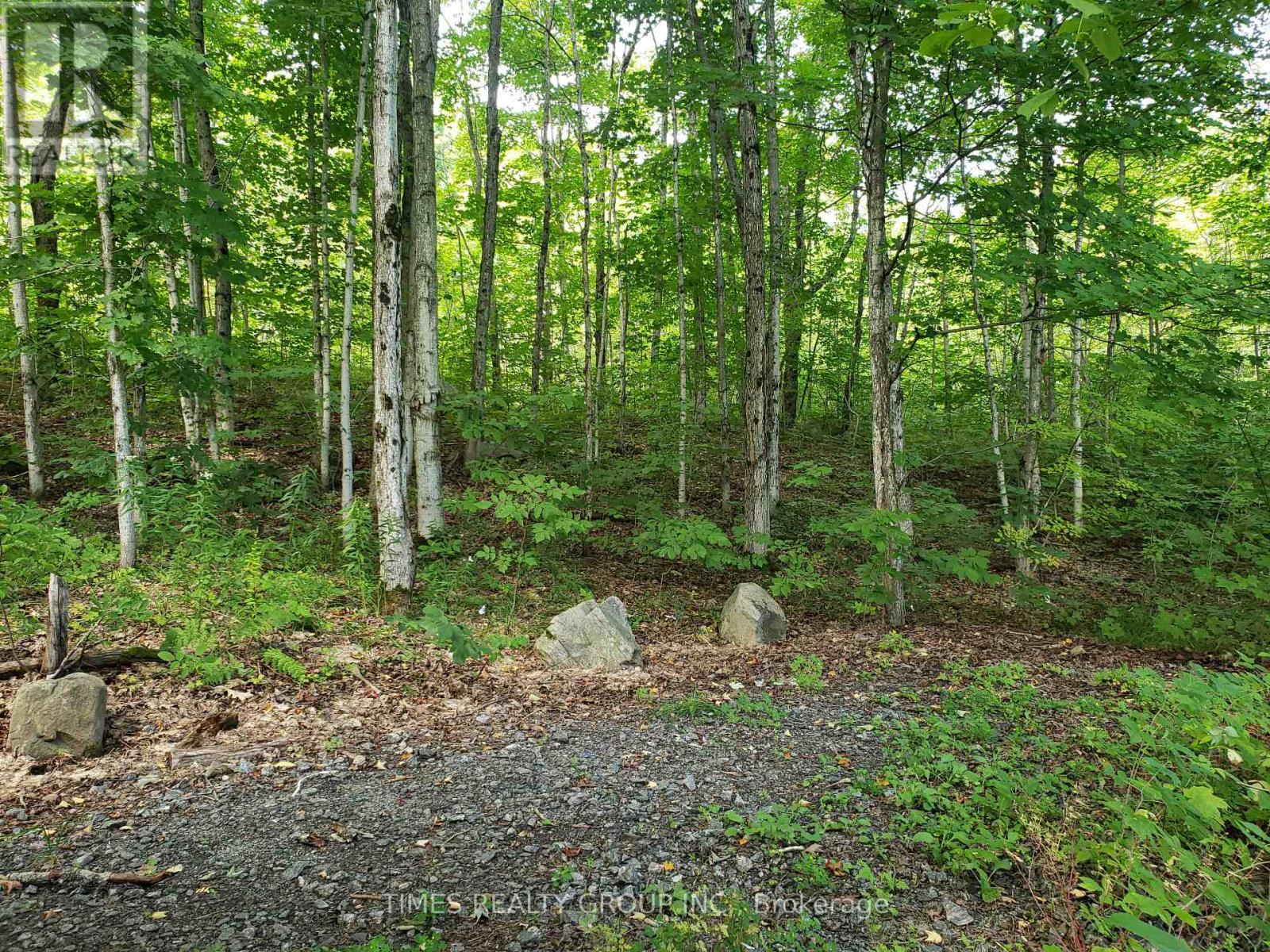 1678 Windermere Road, Muskoka Lakes, Ontario  P0B 1M0 - Photo 6 - X8137568