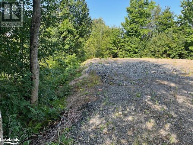 836 Rye Road, Lount, Ontario  P0A 1Z0 - Photo 5 - 40641847