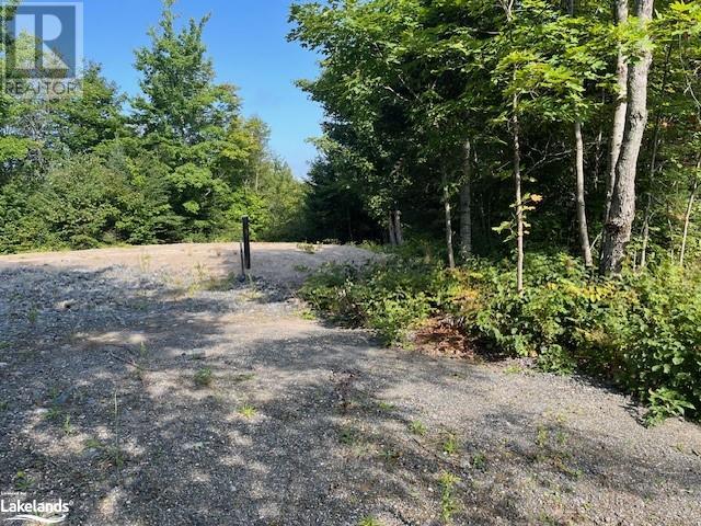 836 Rye Road, Lount, Ontario  P0A 1Z0 - Photo 2 - 40641847
