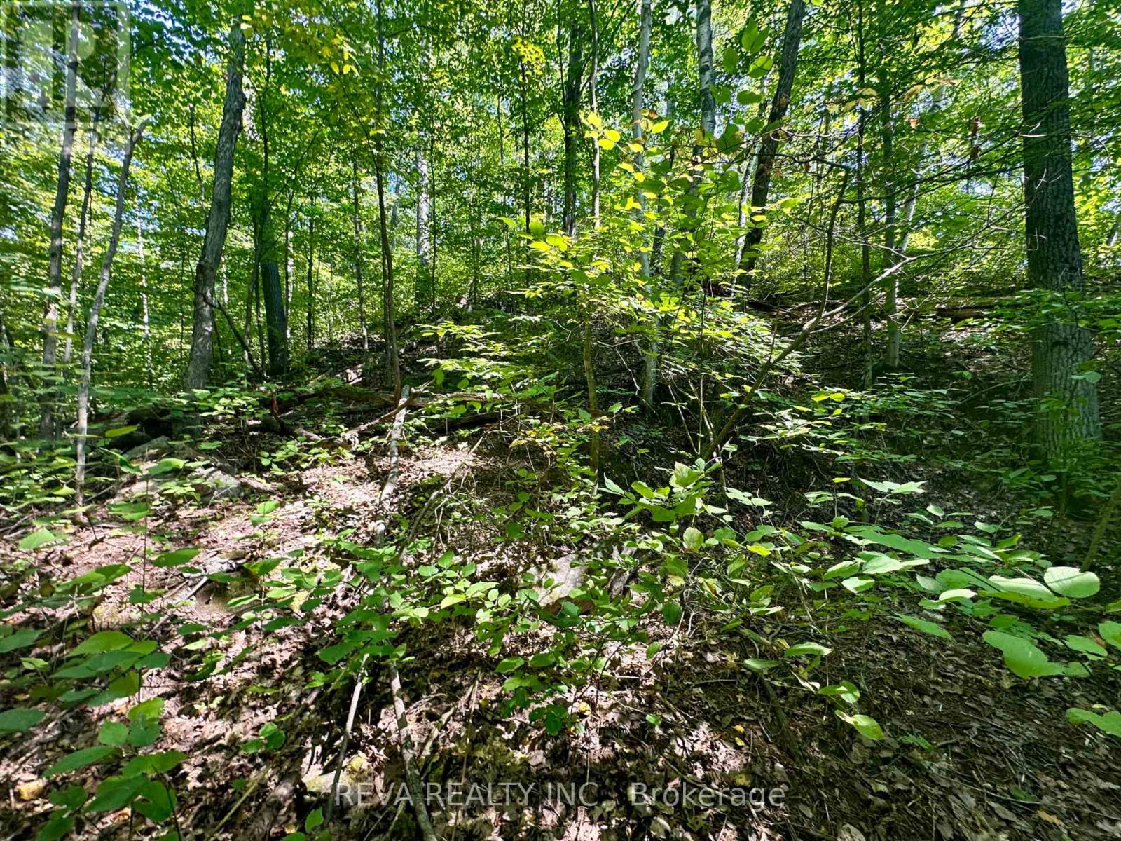 0 South Baptiste Lake Road, Hastings Highlands, Ontario  K0L 1C0 - Photo 14 - X9232521