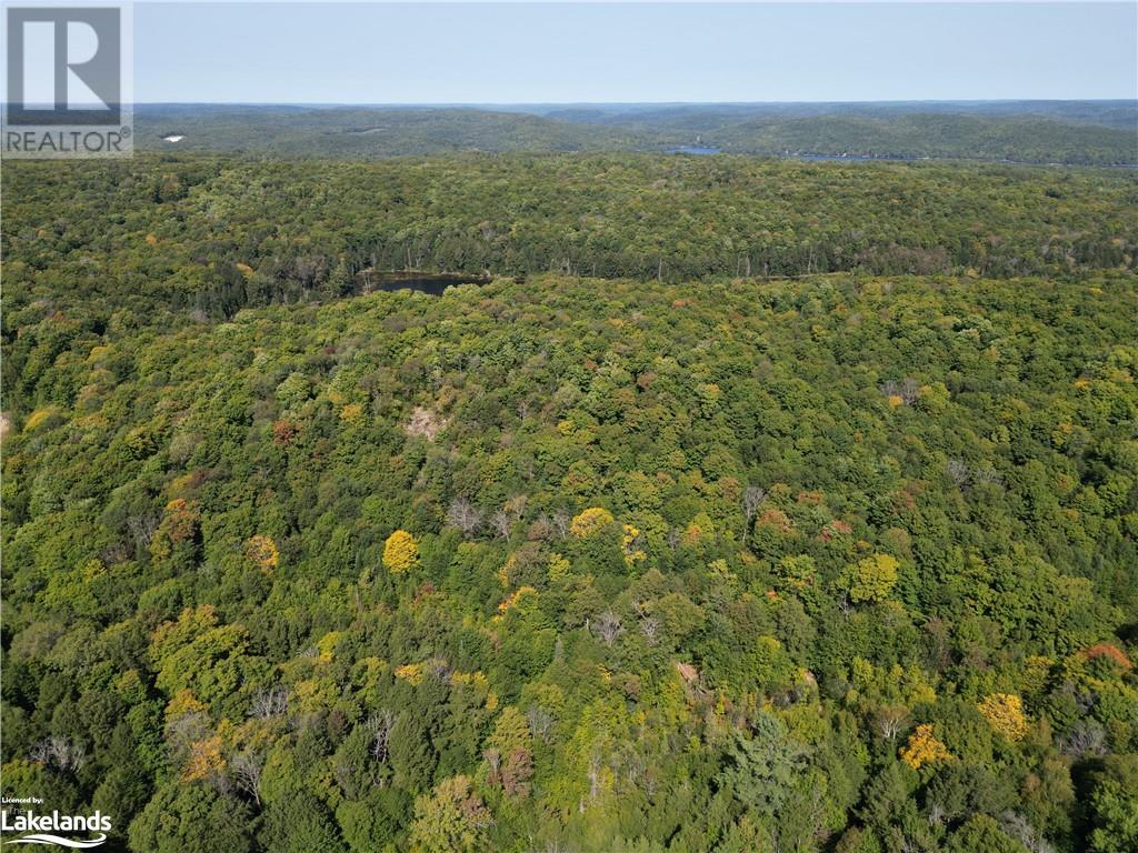 0 Bushwolf Lake Road, Haliburton, Ontario  K0M 1S0 - Photo 1 - 40641846