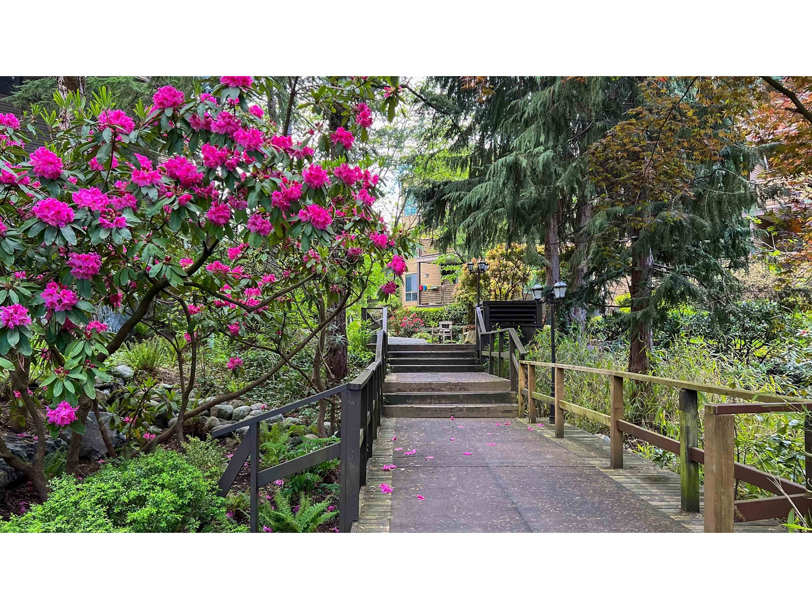 406 10644 151a Street, Surrey, British Columbia  V3R 8R3 - Photo 20 - R2921690