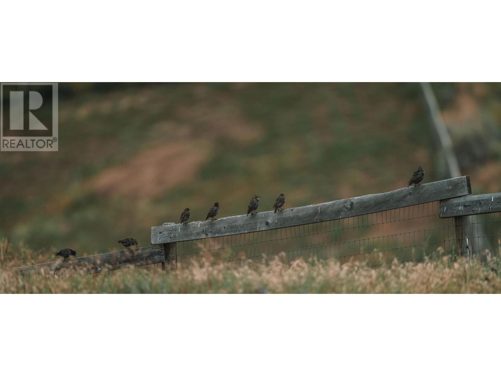 1415 Ranch Road, Kamloops, British Columbia   - Photo 49 - 180742