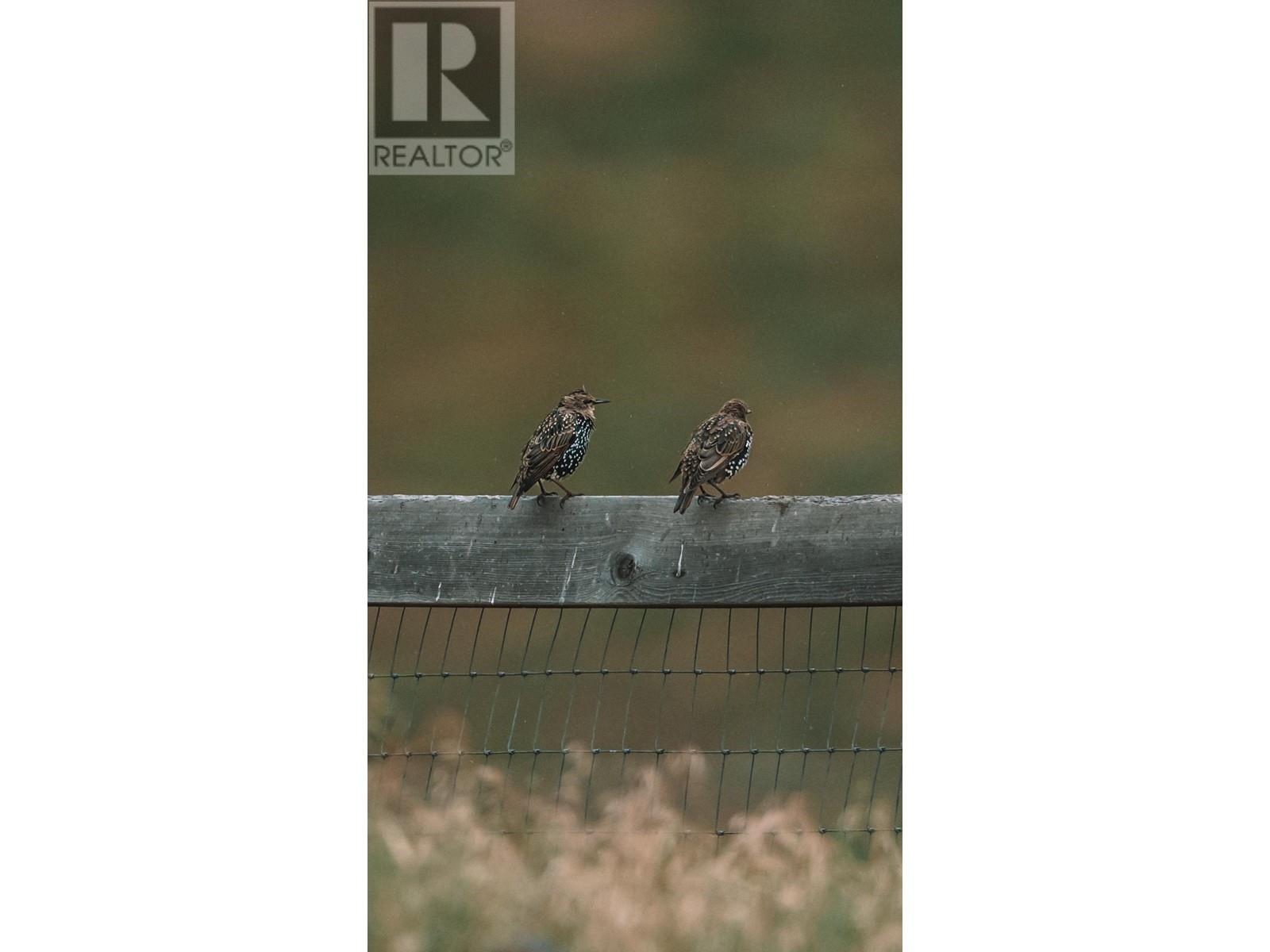 1415 Ranch Road, Kamloops, British Columbia   - Photo 50 - 180742