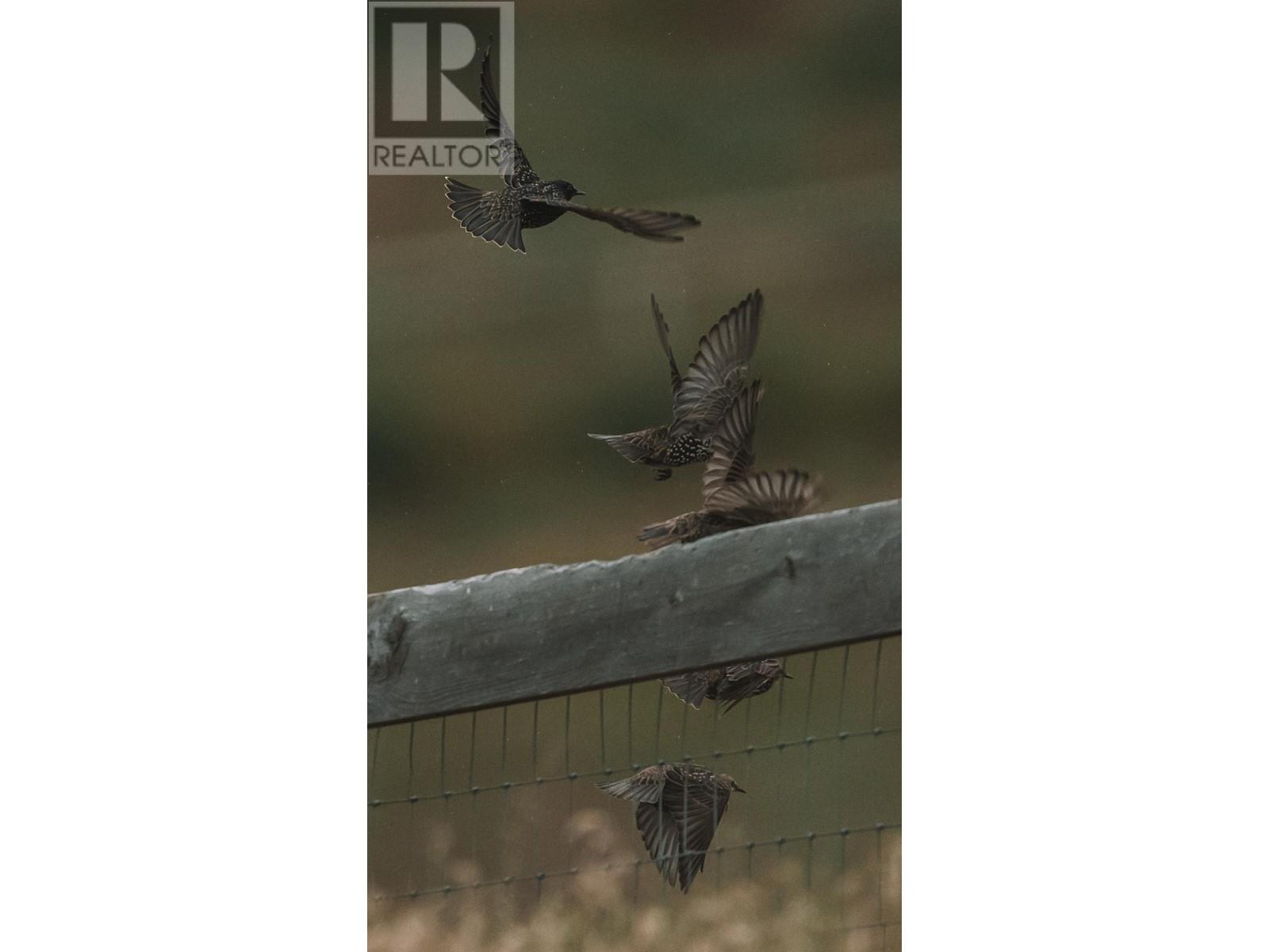 1415 Ranch Road, Kamloops, British Columbia   - Photo 51 - 180742