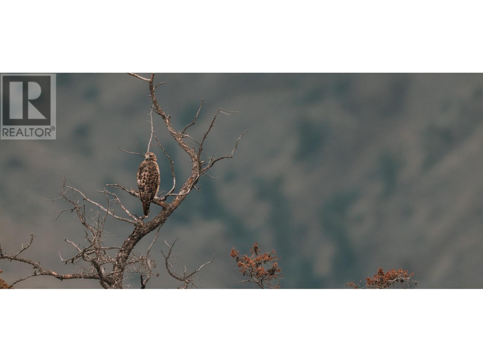 1415 Ranch Road, Kamloops, British Columbia   - Photo 52 - 180742