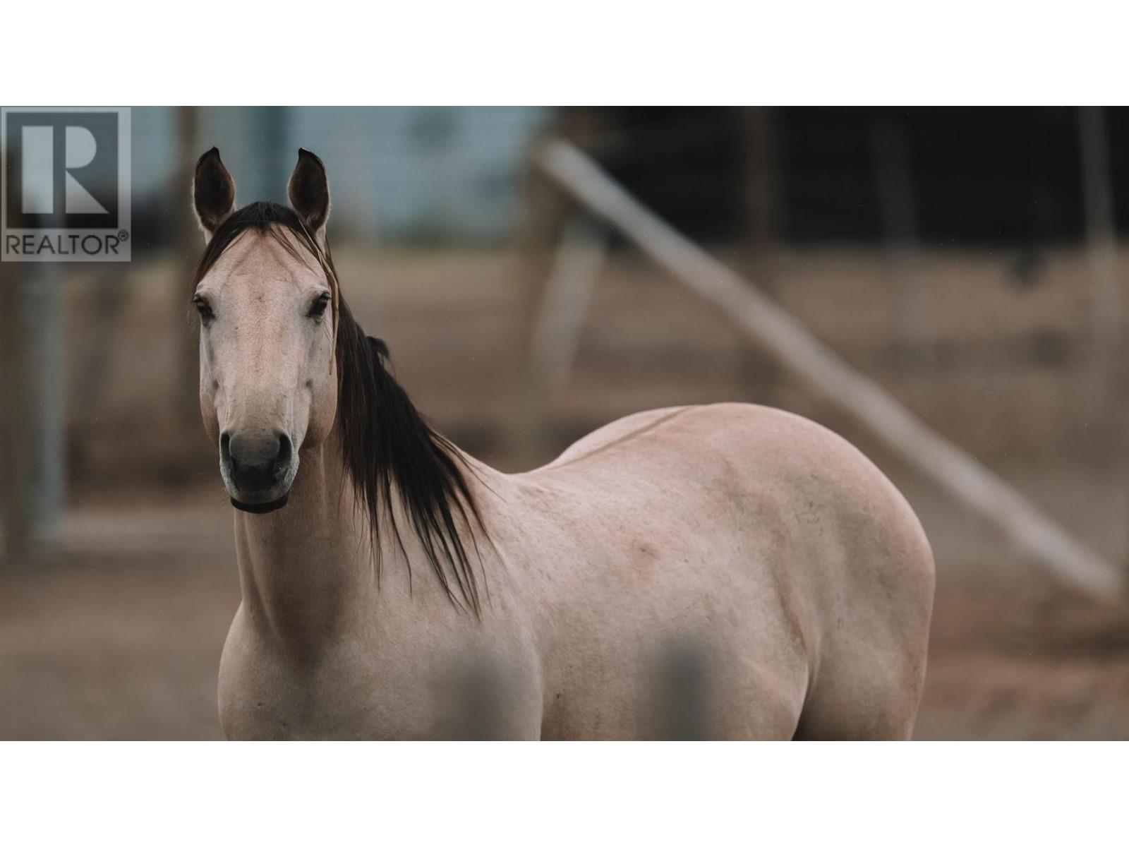 1415 Ranch Road, Kamloops, British Columbia   - Photo 53 - 180742