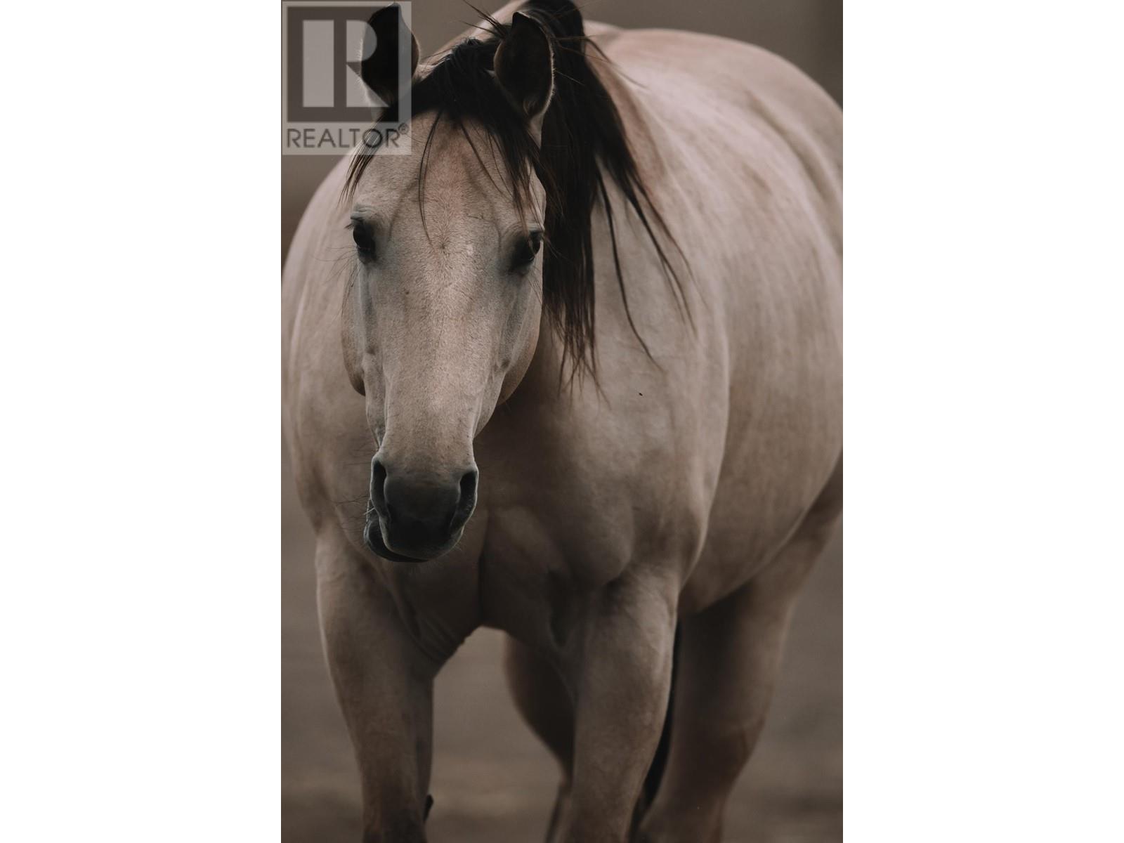 1415 Ranch Road, Kamloops, British Columbia   - Photo 54 - 180742