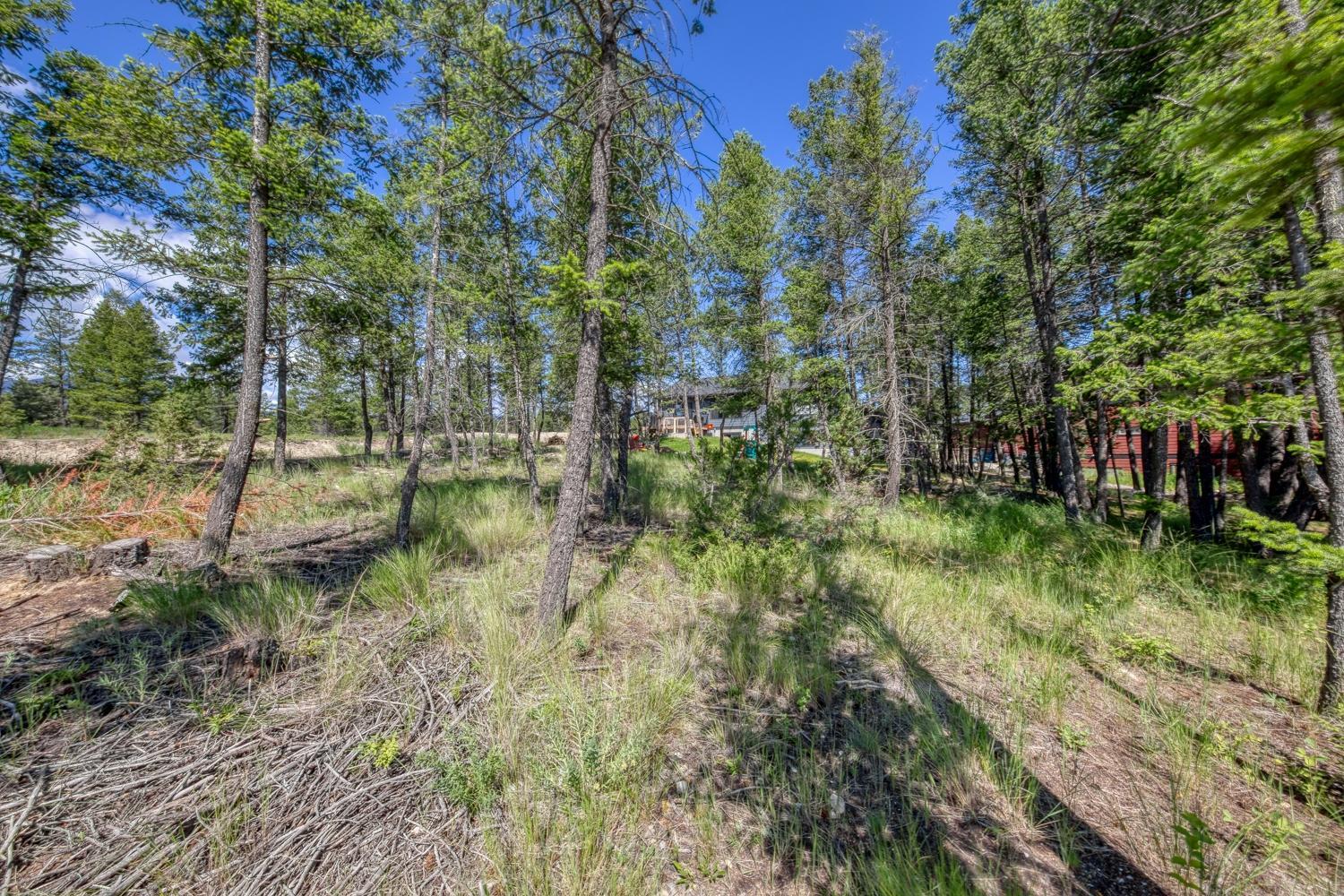 Lot 11 Copper Point Way, Invermere, British Columbia  V0A 1K3 - Photo 10 - 2479429