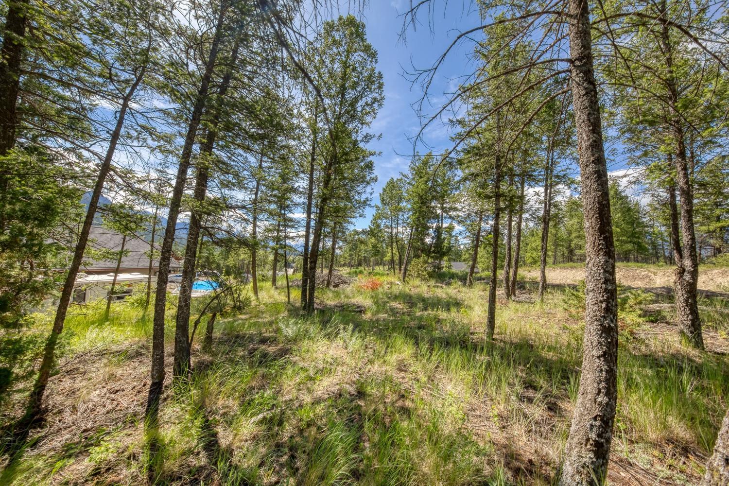 Lot 11 Copper Point Way, Invermere, British Columbia  V0A 1K3 - Photo 12 - 2479429