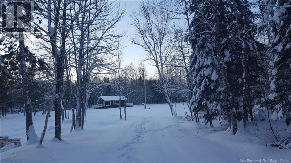 25 Theriault Road, Middle River, New Brunswick  E2A 6Y7 - Photo 33 - NB105336