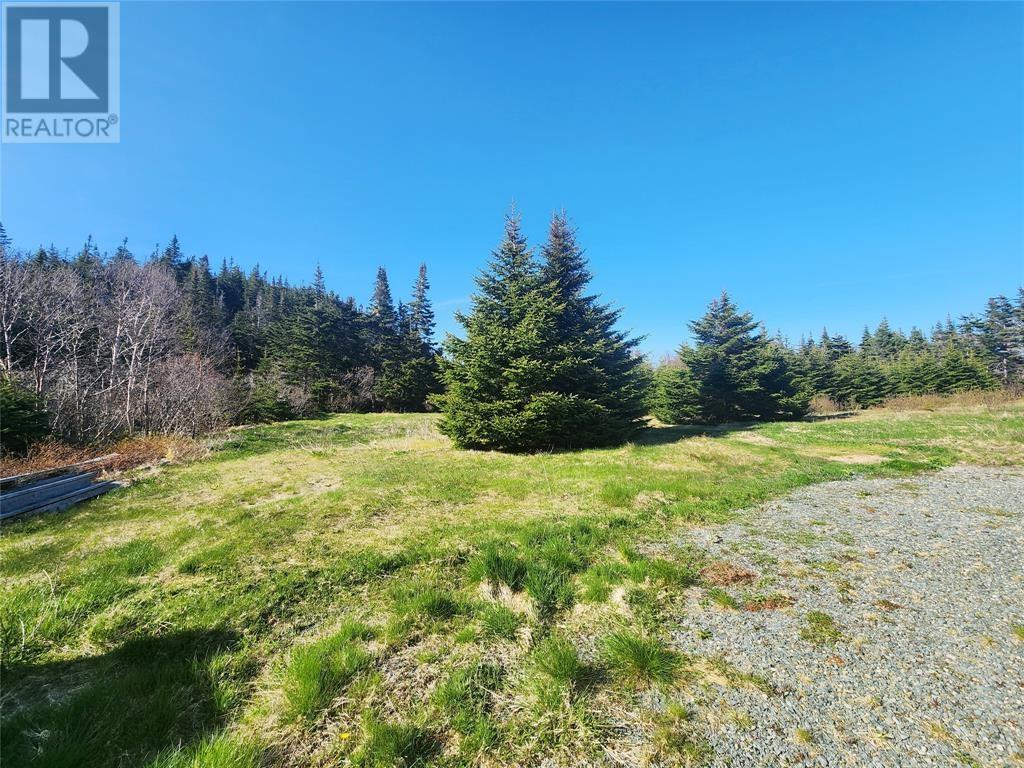 620 Bauline East Road, Bauline East, Newfoundland & Labrador  A0A 4A0 - Photo 37 - 1277013