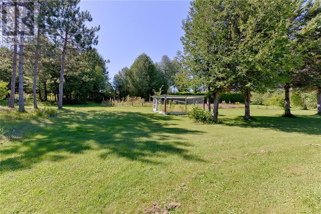 226 Letts Cemetery Road, Eganville, Ontario  K0J 1T0 - Photo 28 - 1410301