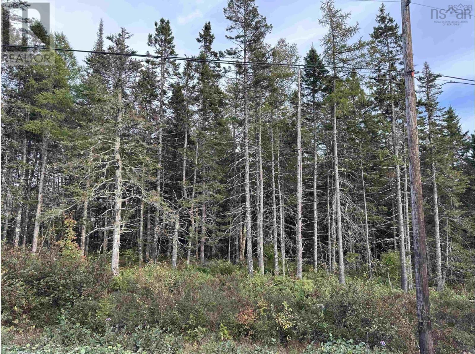 Point View Road, Louisdale, Nova Scotia  B0E 1V0 - Photo 1 - 202421541